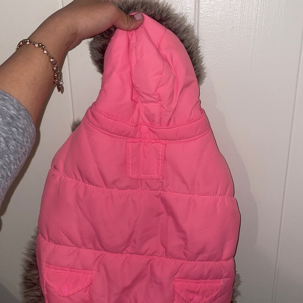 Dog coat